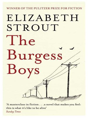 cover image of The Burgess Boys